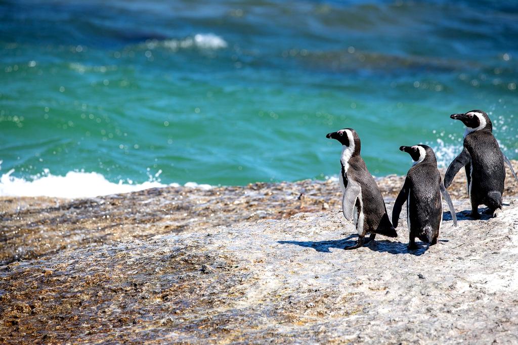 Diverse group working on conservation