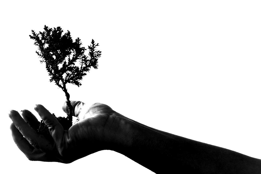 Hands holding ecosystem model